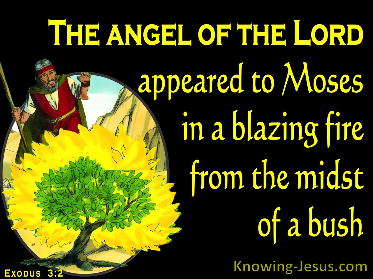 Exodus 3:2 The Angel Of The Lord Appeared To Moses In The Burning Bush (black)